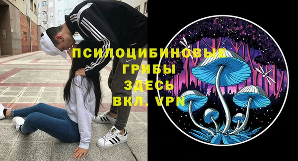 прущие грибы Алексеевка