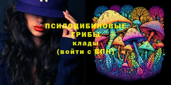 дурь Алексин