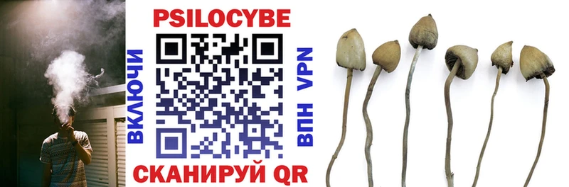 Псилоцибиновые грибы ЛСД  купить закладку  Петушки 